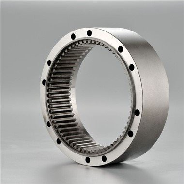 ציוד טבעת אננולוס
